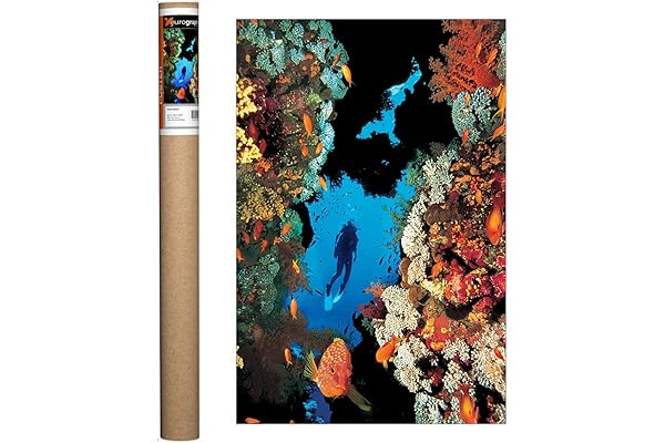 eurographics 珊瑚礁海报,91.44 x 60.96 厘米 : 亚马逊中国: 家居